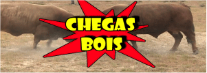Chegas de Bois