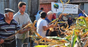 Desfolhada em São Lourenço - Cabril