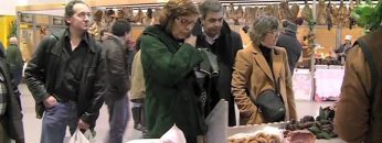 [ID: 2wFGfBgE8yA] Youtube Automatic