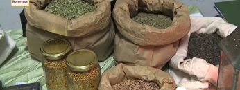 [ID: 6f9074qKLoo] Youtube Automatic