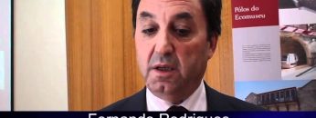 [ID: a3VB4qd2TCk] Youtube Automatic