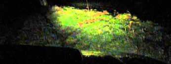 [ID: ApeRFLkoNyw] Youtube Automatic