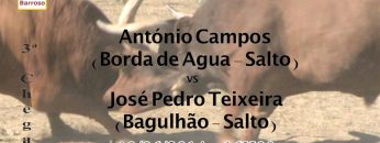 [ID: D81oYbRKOIY] Youtube Automatic