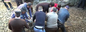 [ID: Dy8RVXKbOKY] Youtube Automatic