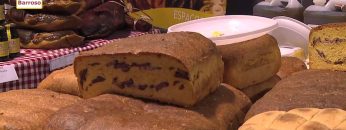 [ID: Enle63IoGtU] Youtube Automatic