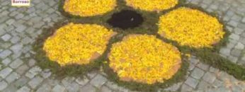 [ID: fX3F4BbPZJs] Youtube Automatic