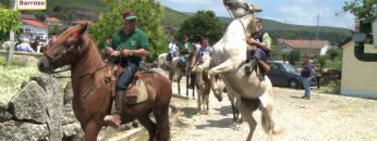 [ID: FXWcn2K9IvM] Youtube Automatic