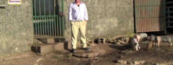 [ID: FYNhM_M6DWg] Youtube Automatic