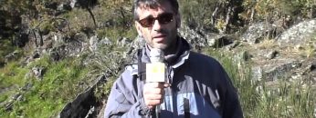 [ID: GFfM5-72mk4] Youtube Automatic