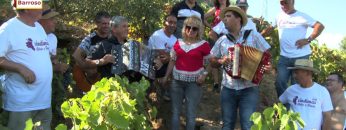 [ID: jp8bdNmAI50] Youtube Automatic