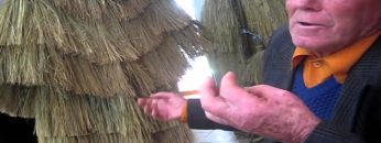 [ID: KEZiEcKu_ow] Youtube Automatic