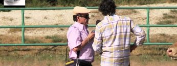 [ID: MMhdhNK1IRE] Youtube Automatic