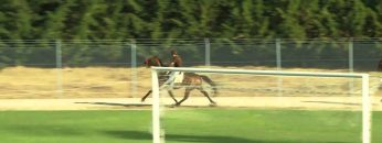 [ID: ndQKJKZYjr4] Youtube Automatic