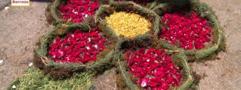 [ID: quQcBTLE7tU] Youtube Automatic