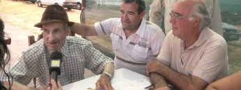 [ID: -u0KBDpuDu8] Youtube Automatic