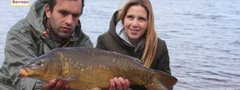 [ID: yuJYwJz2GlE] Youtube Automatic