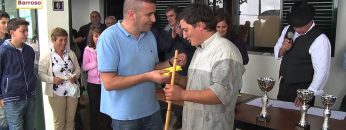 [ID: Zpr99c-MBg4] Youtube Automatic